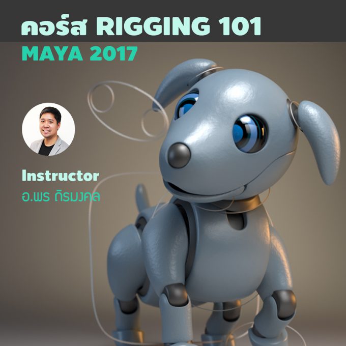 Rigging 101